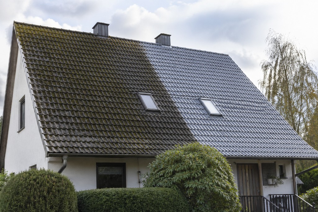 Vorher und Nachher: Satteldach – links stark bemoost und verschmutzt, rechts gereinigte graue Dachpfannen mit Dachfenster und Schornstein, weiße Hausfassade und Hecken im Vordergrund